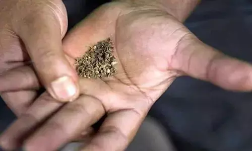 Tobacco ads banned on buses, bus stands Tobacco ads banned on buses, bus stands