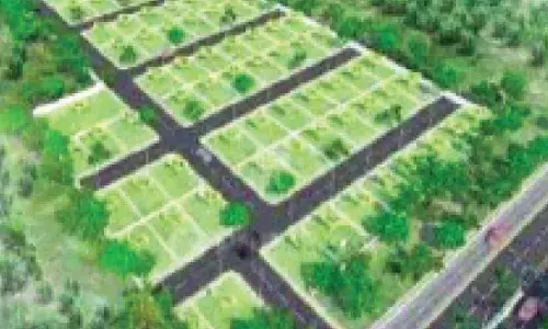 NDMC, DDA top Green Action Plan 2025-2026 as plantations cross 53.7L NDMC, DDA top Green Action Plan 2025-2026 as plantations cross 53.7L