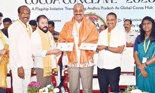 Govt keen to make AP cocoa hub: Minister Atchannaidu Govt keen to make AP cocoa hub: Minister Atchannaidu