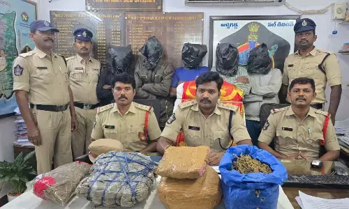 Sirivella police crack ganja racket; five held, 6 Kg contraband seized Sirivella police crack ganja racket; five held, 6 Kg contraband seized