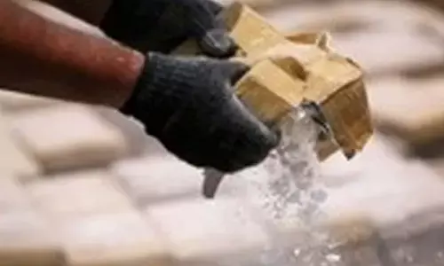 Bihar: Charas smuggling network busted in East Champaran​