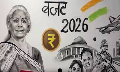 Giant 6-ft artwork of Nirmala Sitharaman created by UP artist for budget day