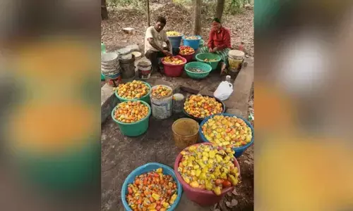 Budget gives big push to high-value crops for boosting farmers’ incomes