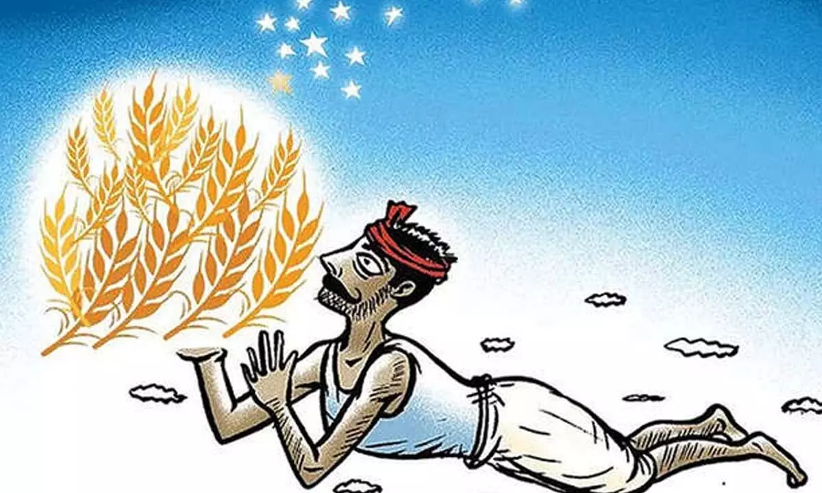 Bharat-VISTAAR: AI tool to lend a helping hand to farming sector Bharat-VISTAAR: AI tool to lend a helping hand to farming sector