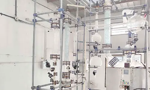 BJP MPs accuse state of negligence as it grapples with synthetic drug surge