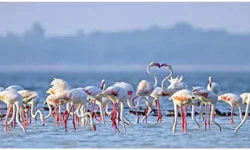 Union budget puts Tirupati district on high-growth path