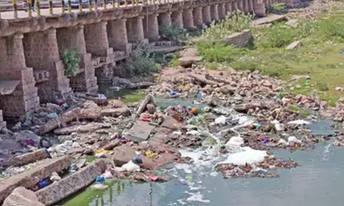 TNs Madurai Corporation proposes Rs 440 crore plan to restore polluted Vaigai River