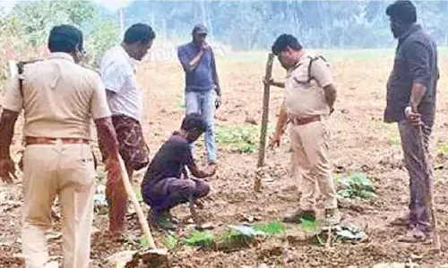 Tiger movement triggers anxiety in EG villages Tiger movement triggers anxiety in EG villages