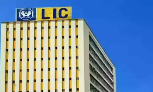 Govt mulls stake sale in LIC via FPO in next financial year