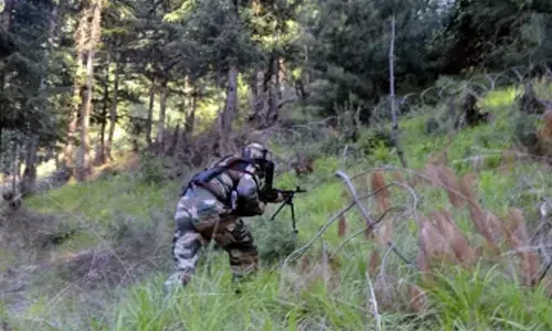 Terrorists spotted near cave in Udhampur forest in J&K, security forces move in