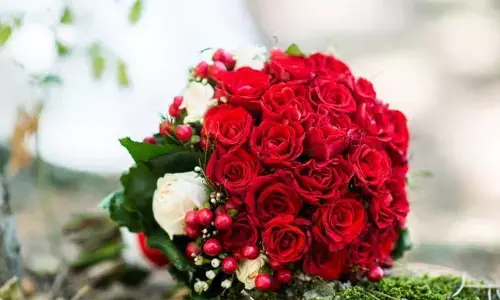 Beyond Roses: Gen Z’s Fresh Floral Picks Redefine Rose Day