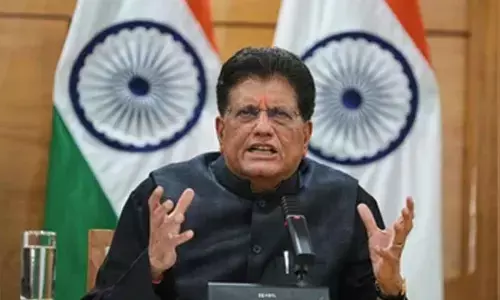 Indias sensitive sectors safeguarded in US deal: Goyal