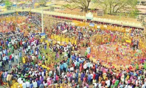 Lakhs of devotees visit Medaram even after tribal jatara wraps up