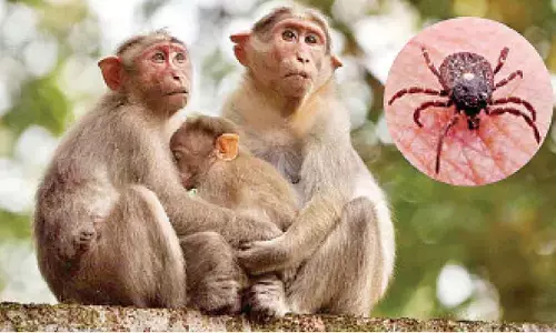 State reports 44 KFD cases this year