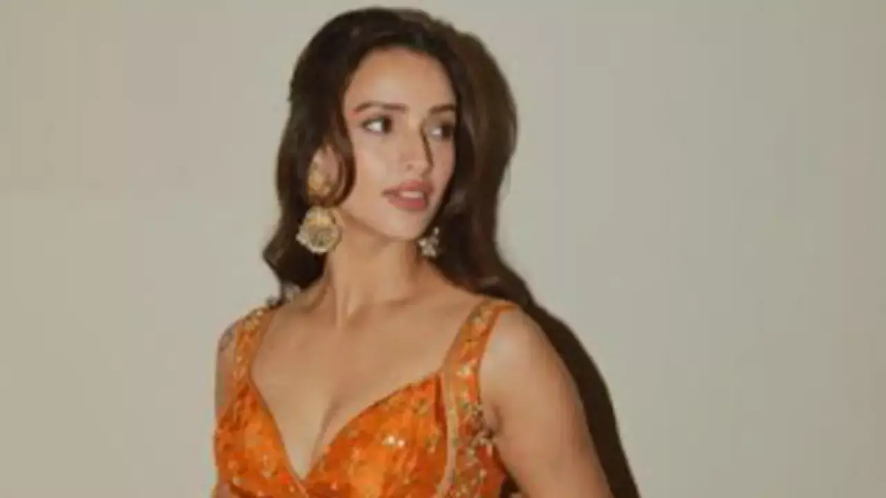 Tripti Dimri showcases her ethnic side