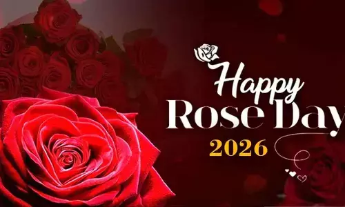 Rose Day 2026: The Meaning Behind Every Rose Colour