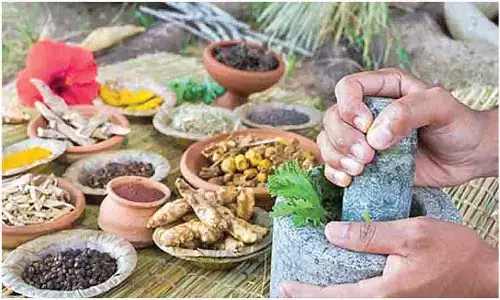 ‘WAPCON-26’ to bring Ayurvedic women docs to a platform