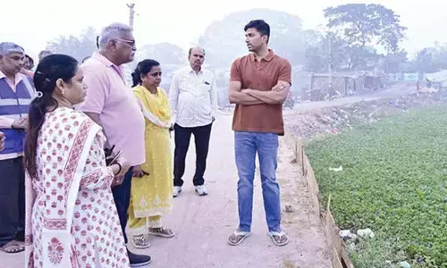 Civic chief stresses on mosquito control measures