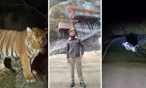 Arunachal Head Constable Killed After Being Dragged Off Road In Suspected Tiger Attack