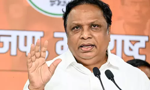 Aerial emergency facilities needed for Bandra-Worli Sea Link, Coastal Road: Minister