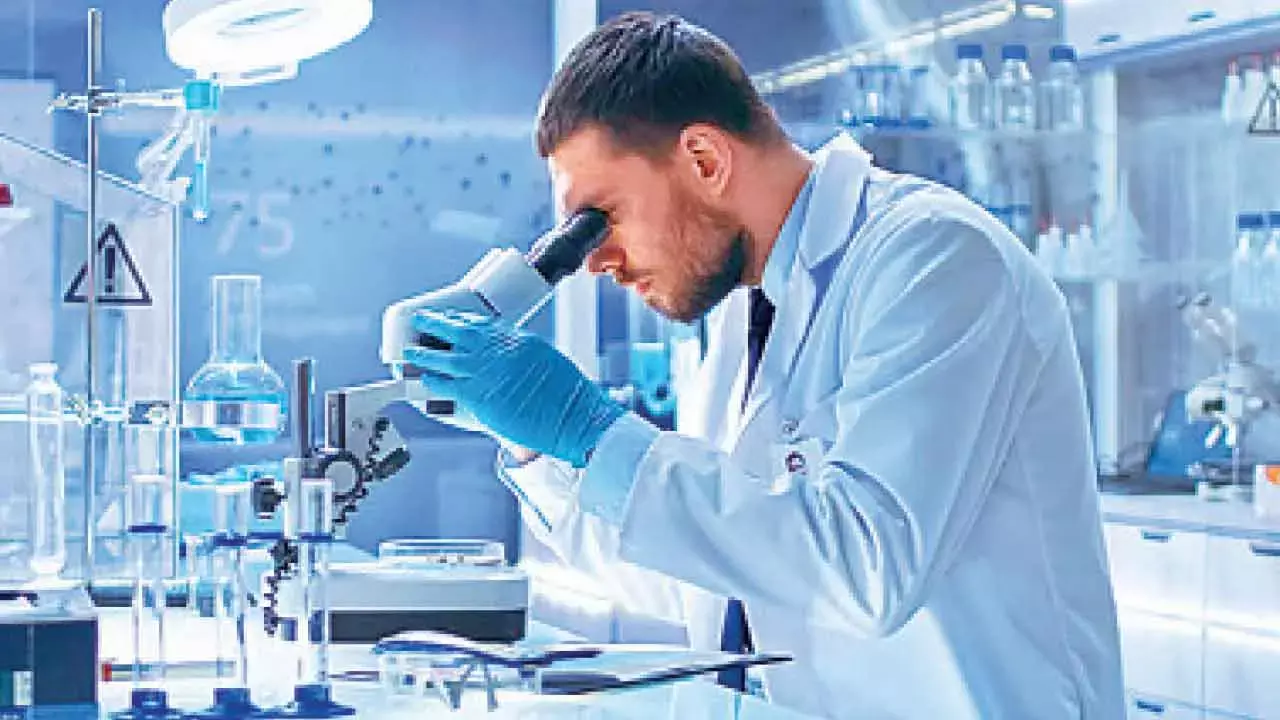 IIT Bombay develops method to recover T-cells for cancer therapies