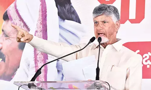 Rayalaseema emerging as horticulture hub: Naidu