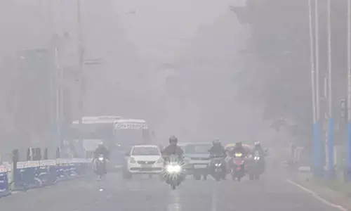 Winter chill returns to Kolkata as minimum temperature dips to 14 degrees C