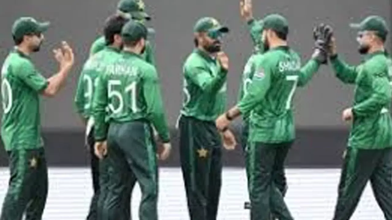 Faheem helps Pak survive Dutch scare