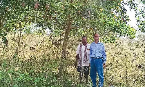 ‘Greenman’ transforms rocky landscape into thriving forest