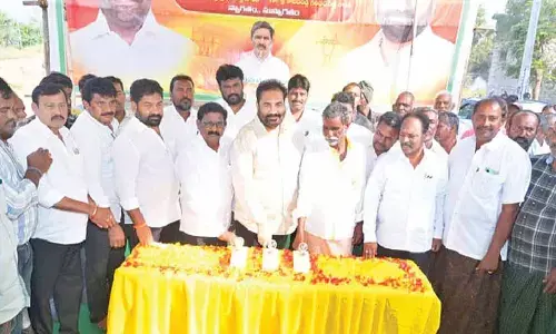 Nellore rural to get uninterrupted power supply: MLA