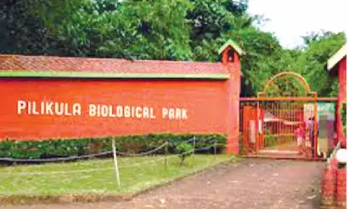 State moves to bring Pilikula Biological Park under zoo authority