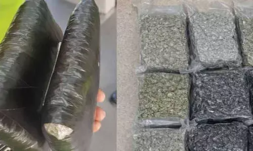 Hydroponic cannabis worth Rs 2.97 crore seized at B’luru airport