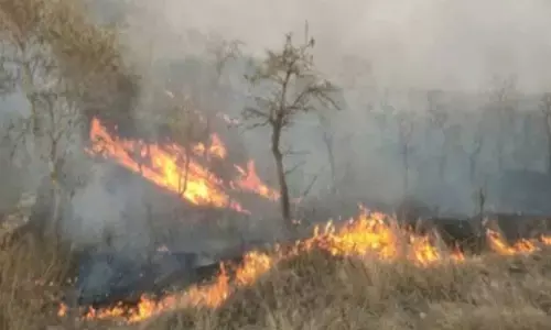 NGT issues notices to Centre, states over rising forest fires