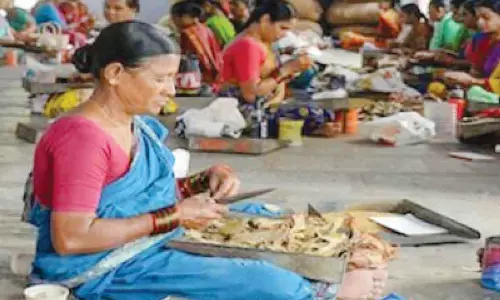 Govt spent just 40% of budget on big schemes in 9 months