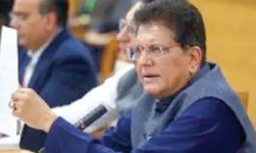 US trade deal gives India edge over others: Goyal