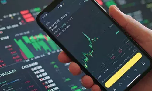 DIIs solidify their dominance on Indian equities, reach 20.6 pc ownership