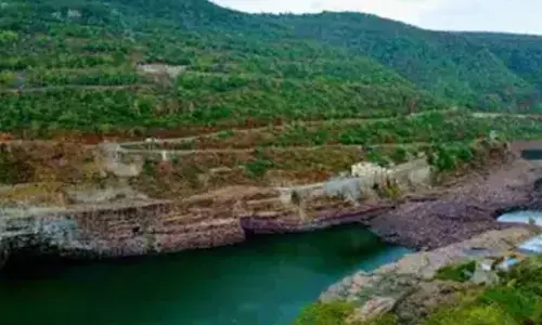 1,076 traps removed in Nallamala forest