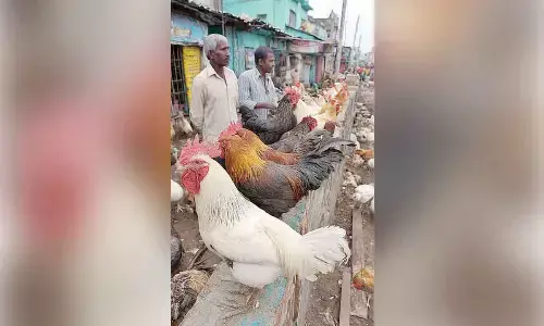 RRTs deployed in Annamayya, samples sent from Chittoor