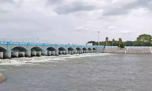 TNs Cauvery restoration project faces delay amid poll-year hurdles