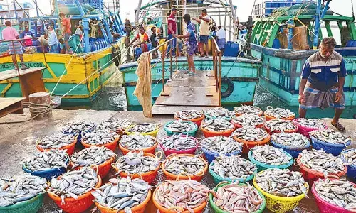 India’s fish production doubles in a decade, hits record 197L tons