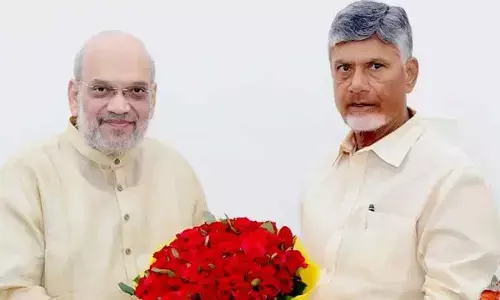 Chandrababu Meets Amit Shah Over Amaravati and State Issues
