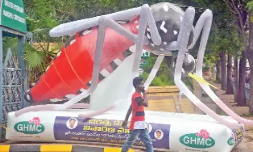 Swarms of mosquitoes invade city as buzzing creatures rob citizens’ sleep