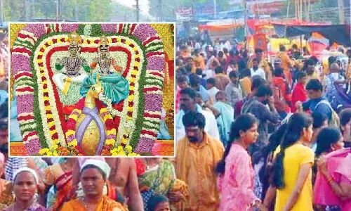 Mahashivaratri Brahmotsavams progress with special pujas