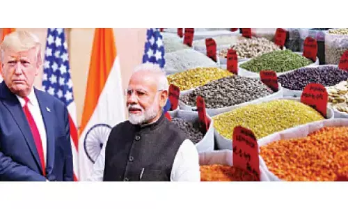 US walks back on pulses, agri sector claims in factsheet