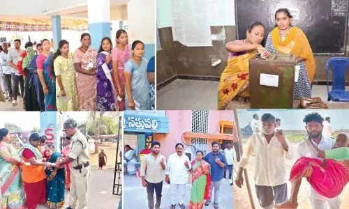 Municipal elections: Polling concludes peacefully across districts