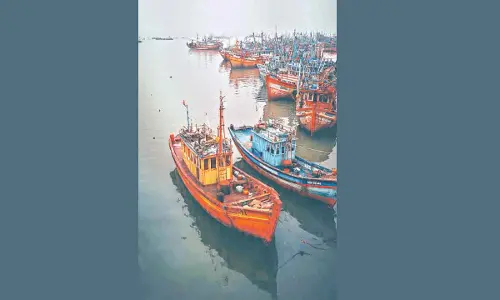 Kothapatnam fishing harbour to be ready by 2027: Centre