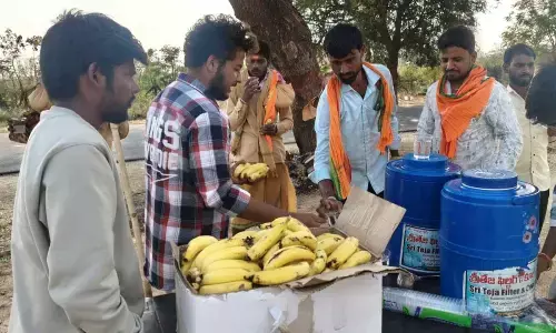 Agriculture Students Combine Education with Social Responsibility