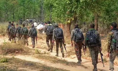 Over 500 Naxalites Killed Since 2024, Maoist Menace To End By March 2026: Chhattisgarh Deputy CM