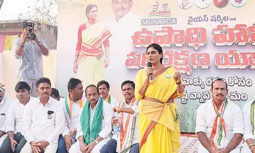 Sharmila flays Naidu, Jagan over MGNREGA scrapping