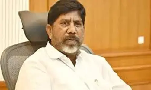 Trust turns into triumph in municipal polls, says Bhatti Trust turns into triumph in municipal polls, says Bhatti